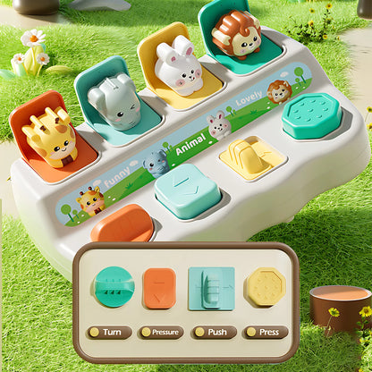 Montessori Pop-Up Animal Toys & Learning Boxes ~ Vylepšit Logické a motorické dovednosti pro děti