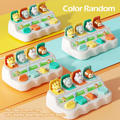 Montessori Pop-Up Animal Toys & Learning Boxes ~ Vylepšit Logické a motorické dovednosti pro děti